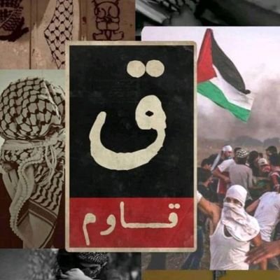 sdym446's profile picture. اللهم اغفر لي ذنبي كله دقه وجله وعلانيته وسره