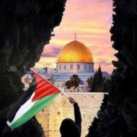 🇵🇸 ابو ملك 🇵🇸 (@fayez1001) Twitter profile photo