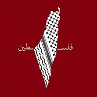 فلسطين 👩🏻🦋. (@iiiiii_s3) 's Twitter Profile