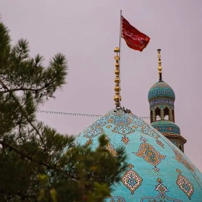 SyedZoyanAli Profile Picture