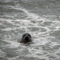 Wren123 (@wren123222785) 's Twitter Profile