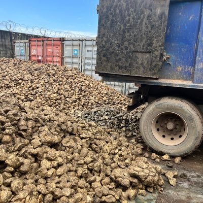 zhuhiling33614's profile picture. 