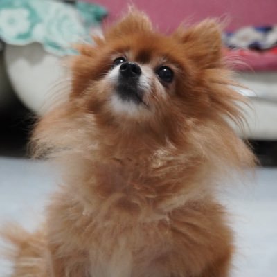 qianlyuLQ's profile picture. 