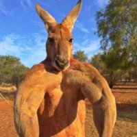 Sul_Hass (@sul_hass) 's Twitter Profile Photo Sul_Hass (@sul_hass) 's Twitter Profile Photo