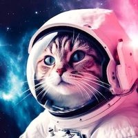 SpaceKitty (@spacekitty_xo) 's Twitter Profile