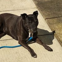 S10 Blade (@s10blade) 's Twitter Profile