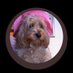 MikeS (@mavetlaraveem) Twitter profile photo MikeS (@mavetlaraveem) Twitter profile photo