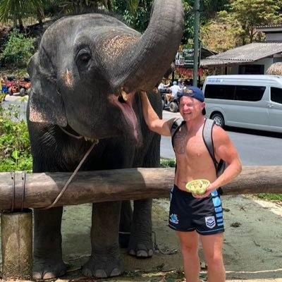 SeanDavoWAFC's profile picture. up the tics