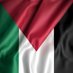 Ahmad Hamdi (@hamdicarlo) Twitter profile photo Ahmad Hamdi (@hamdicarlo) Twitter profile photo