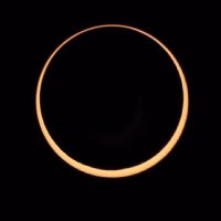 درويش (@darveesh01) 's Twitter Profile Photo