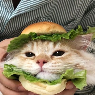 Rushike33448897's profile picture. Programmer👨‍💻 ,Overthinker;