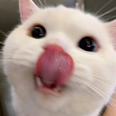 towMhee's profile picture. 🤟🏼