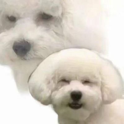 kakblackさんのプロフィール画像