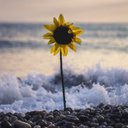 Meredith wang - @MeredithWang85 - Twitter