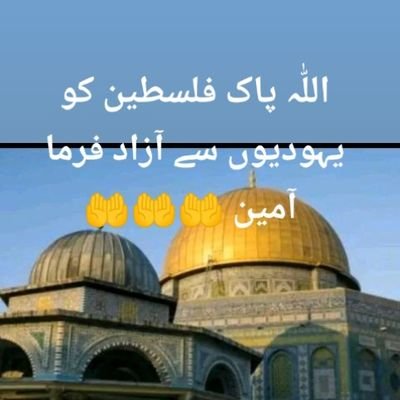 Muhamma00699560's profile picture. 