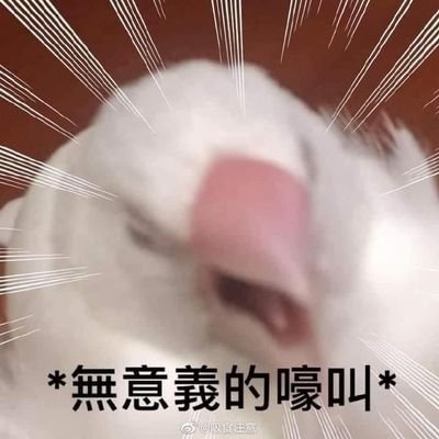 _Niarwolさんのプロフィール画像