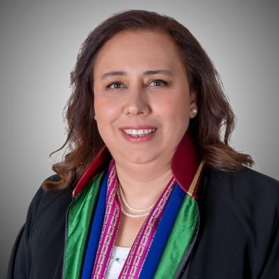 SebnemAkipek's profile picture. 