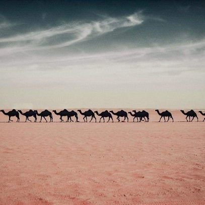 Abdulcudoos's profile picture. knowledge Seeker