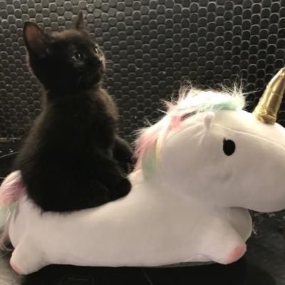 🎀さんのプロフィール画像