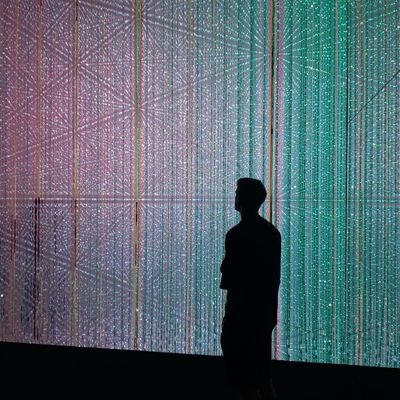 HamishMcGrego12's profile picture. 