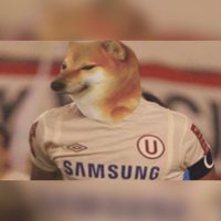 Chems de la U (@chemsdelau) 's Twitter Profile