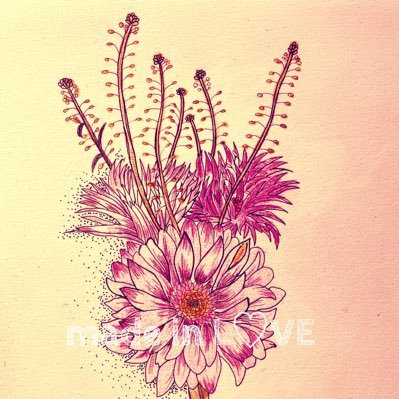 madeinlove777's profile picture. 2023年9月5日発売「フラワーリースの見本帖」掲載。Love flower!!!🫶Florist!!!お花を通じて、日常のひと時に癒しの空間を。お気軽にフォローして下さい🫶✨お仕事の御依頼はDMにて宜しくお願いいたします🌸