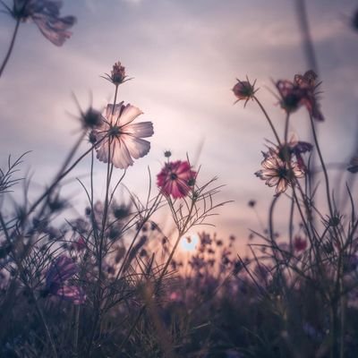 LTyrell505's profile picture. 