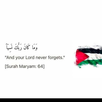 Momalmirza143's profile picture. Don't cry because it's over, smile because it happened.😊❤️
#freePalestine🇵🇸

@Momlmirza