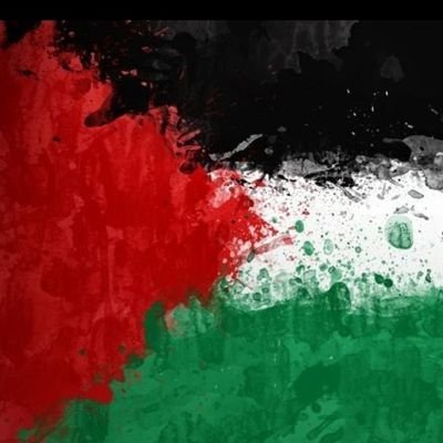 FayalSamar's profile picture. 