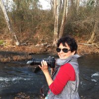 Pam S. (@gopamnc) 's Twitter Profile Photo Pam S. (@gopamnc) 's Twitter Profile Photo