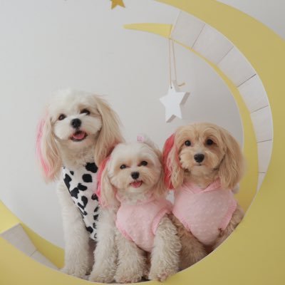 🦄💓さんのプロフィール画像