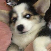 ปกไง ._. (@pookykkkt) 's Twitter Profile