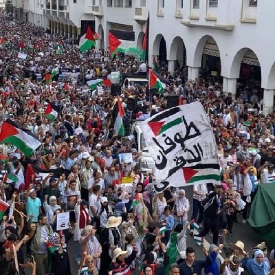 Journaliste digital & santé basé entre Istanbul et Casablanca