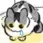 裏月 (@ritsuki_vov) 's Twitter Profile Photo