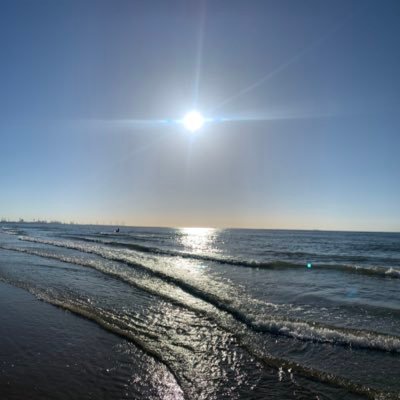 MagMuz13's profile picture. 🇵🇱🇪🇺🇳🇱🇺🇦🏳️‍🌈🐕🐈‍⬛🐴🌳🌎🤿🚲🛶🚗🚎🚛⛺️