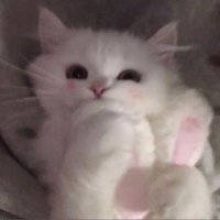 ^_^💙 (@onnakodomo2) 's Twitter Profile