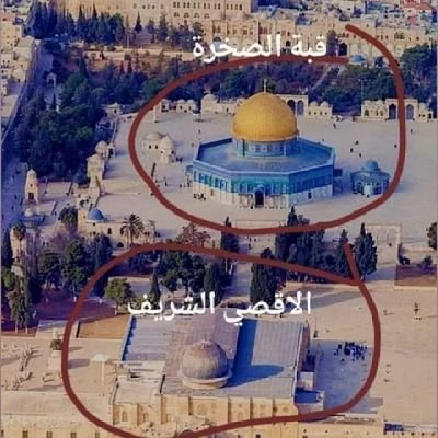 DoOrDieDear's profile picture. #Proud to be #Muslim #IslamZindabad #PakistanPaendabad  #DoOrDie 
#Married