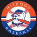 Hit Dogs Illinois (@hitdogsillinois) Twitter profile photo Hit Dogs Illinois (@hitdogsillinois) Twitter profile photo