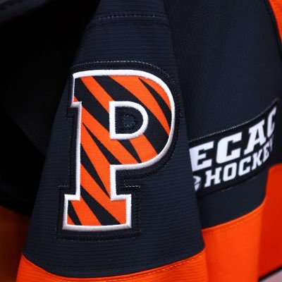 The Official Twitter of the 2018 ECAC Hockey Champion - Princeton Men's Hockey Team. Now the funniest Twitter account in the ECAC.