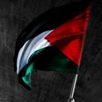 🇪🇬🇵🇸Omar Ezz (@omar84296588) 's Twitter Profile