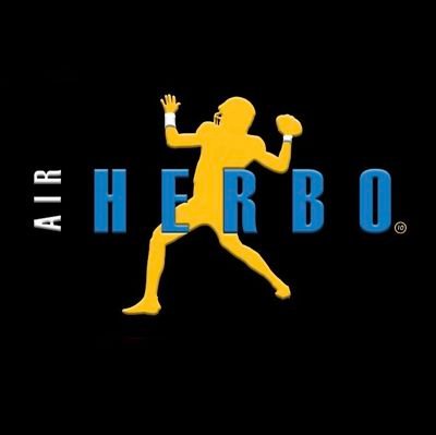 The Artist Formerly Known As NutsN6olts,  #YouTube University Alumni #BoltFam Certified Account.  #AirHerbo Logo design by #DC4L banner by #JM Go #Chargers ⚡️⬆️