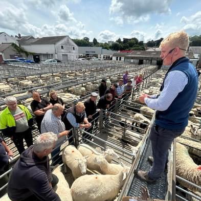 DafyddWaters10's profile picture. 🏉🐄