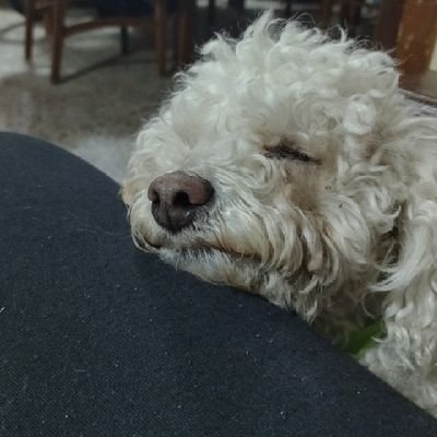 pilyycony's profile picture. out of context (no pregunten)