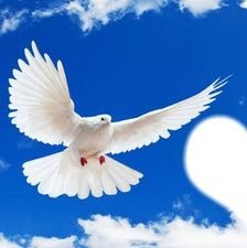 ContrucciMarie's profile picture. 