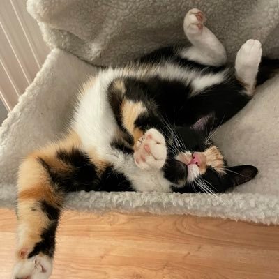 karendenty's profile picture. Mum of a gorgeous one and happy twitterer! Proud to be an NHS Nurse and rugby/cricket/skater hockey Mum. All posts my own thoughts and views