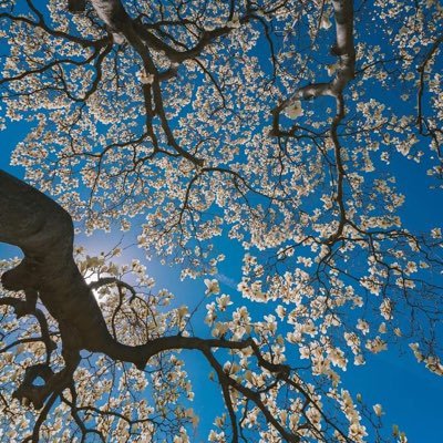 becoming_daisy's profile picture. 