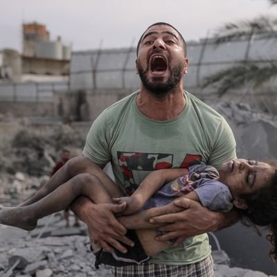 MDMohiu33030996's profile picture. 