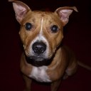 Glenn Allan - @GlennAllan1 - Twitter