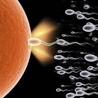 impregnate girl