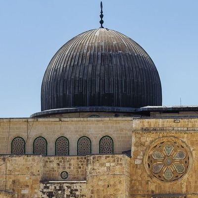 afama116's profile picture. 
